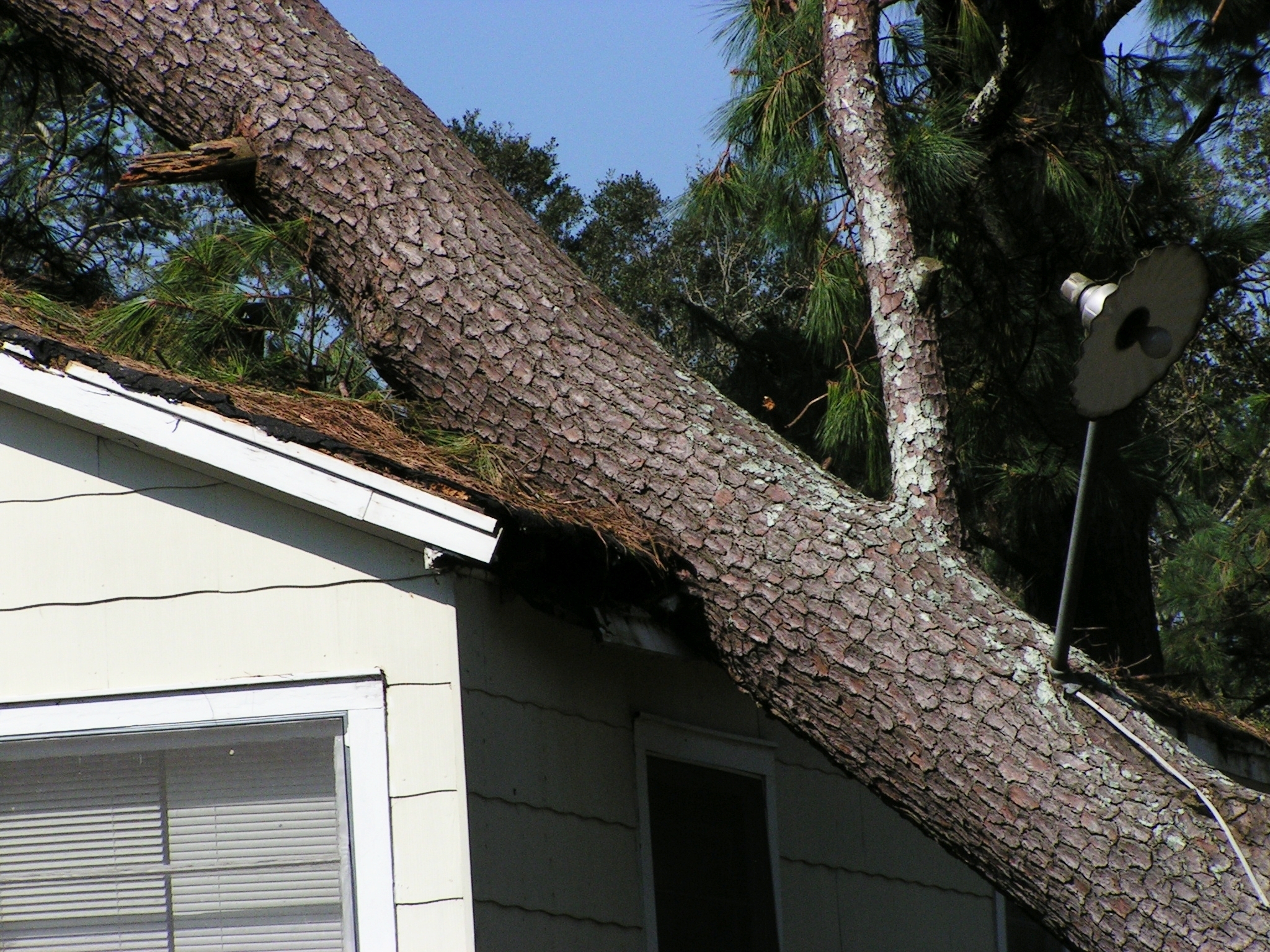 A tree has fallen on a house after a storm.