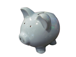 Piggy Bank Piggy Bank